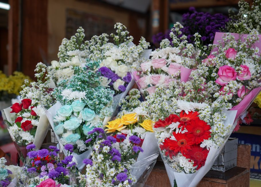 A vibrant display of fresh flower bouquets arranged in white wrapping paper and pink floral cones, featuring a variety of colorful blooms including pink roses, red gerbera daisies, yellow roses, white
