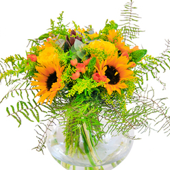 The vivid beauty of this Stockwell-inspired bouquet makes an immediate impression with its glowing palette of sunflowers and garden roses. Each sunflower, with its striking yellow-orange petals and deep brown centers, draws the eye and sparkles with the vivacity of a sunbeam breaking over local markets and streets. Interwoven are plump, golden garden roses, their petals curled in intimate spirals and exuding a sense of classic sophistication. Between blooms, glossy clusters of scarlet hypericum berries peek playfully from among airy green foliage, their vibrant hue evoking the spirit of Stockwell Carnival. Sinuous fern fronds spill gracefully from the bouquet's edges, reminiscent of the wild, urban greenery found in corners of Larkhall Park. Delicate mists of yellow filler-likely solidago or goldenrod-mingle with eucalyptus sprigs, adding both subtle fragrance and visual intrigue. The transparent, round glass vase cradles this arrangement in contemporary refinement, its clear water magnifying the freshness and life of each stem. Together, these blooms create a multisensory experience: soft, velvety petals, crisp greenery, and the gentle scent of earth and openness. This bouquet is designed to light up celebrations-birthdays, anniversaries, or any joyful occasion held in Stockwell or along Brixton Road-offering not just flowers, but a living memory crafted with heartfelt expertise by local florists.